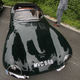 Illustration for article titled Ralph Laurens $40 Mil Bugatti Wins Worlds Most Prestigious Car Show